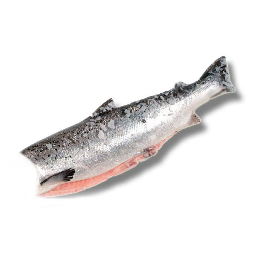 ГОРБУША (вылов 2025!) потрошеная без головы 1кг+